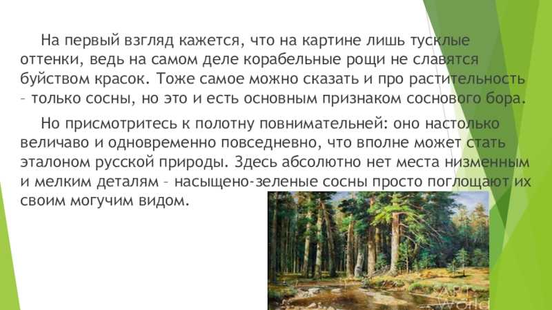 Сочинение по картине «утро в сосновом лесу» и. и. шишкина