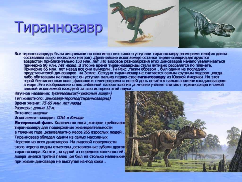 Опиши динозавра. Сообщение о Тираннозавре. Тираннозавр доклад. Описание динозавров. Тираннозавр динозавр описание.