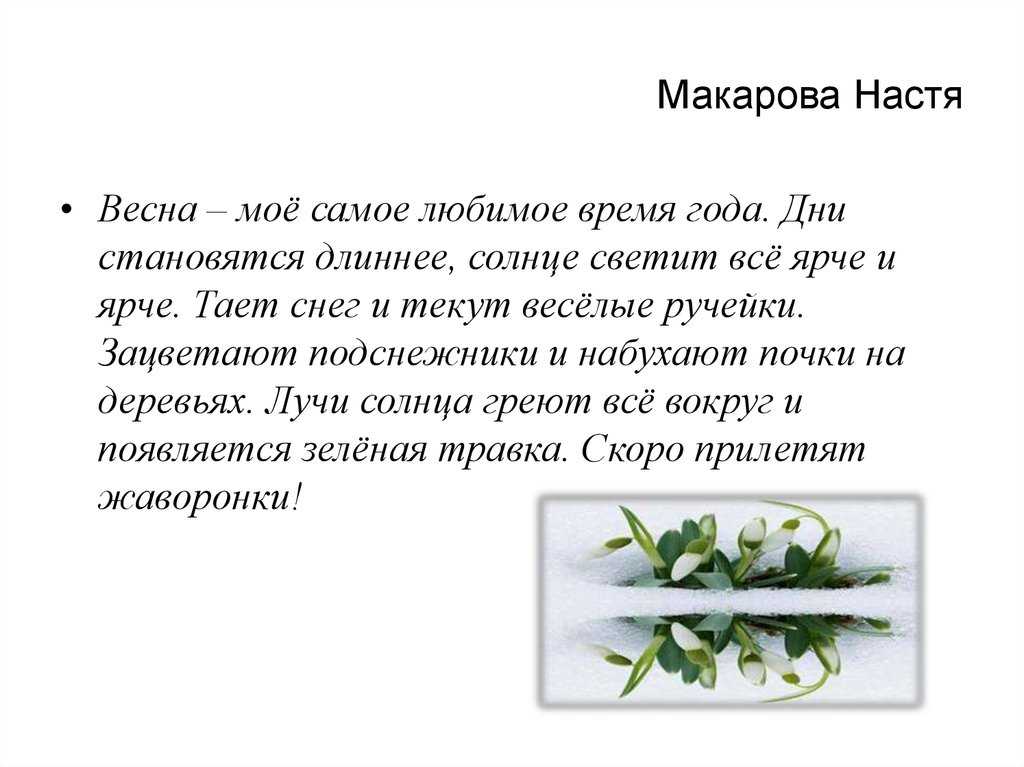 Описание весеннего леса как хорошо ранней весной. весна в лесу – сочинение