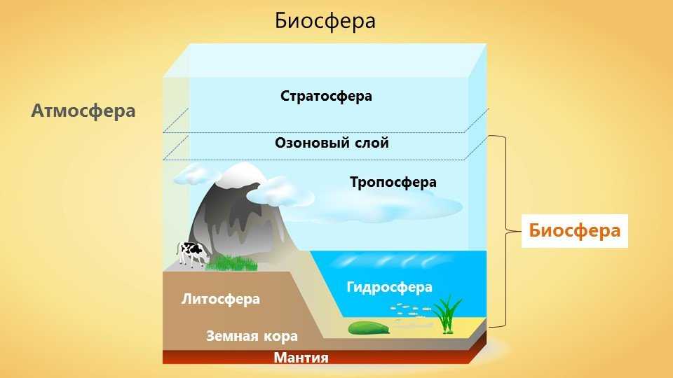 Биосфера верхняя часть литосферы нижняя часть атмосферы. Литосфера атмосфера гидросфера Биосфера стратосфера. Схема литосфера атмосфера гидросфера. Биосфера гидросфера атмосфера литосфера схема. Схема строения земли оболочки.