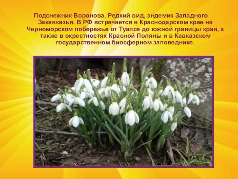 Музей-заповедник «бородинское поле»