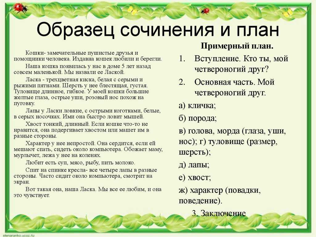 Как же приятно после длительной поездки возвращаться домой, в то место где прошло детство, где знакома каждая улица, дом, и где, выйдя на улицу можно увидеть родные лица
