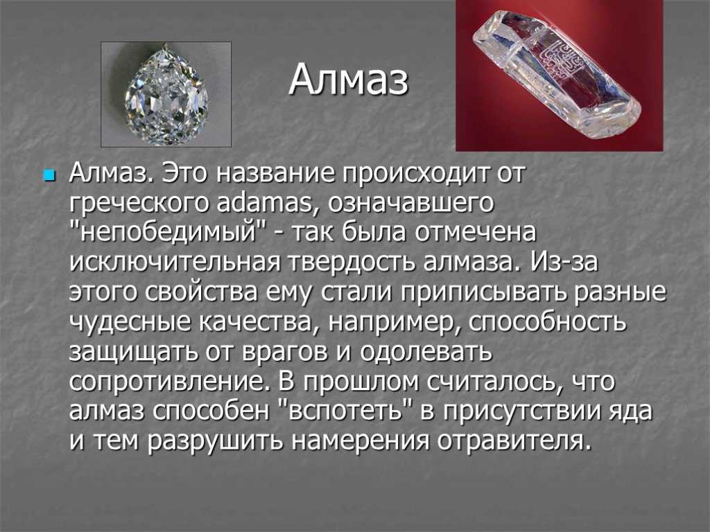 20 интересных фактов о лошадях