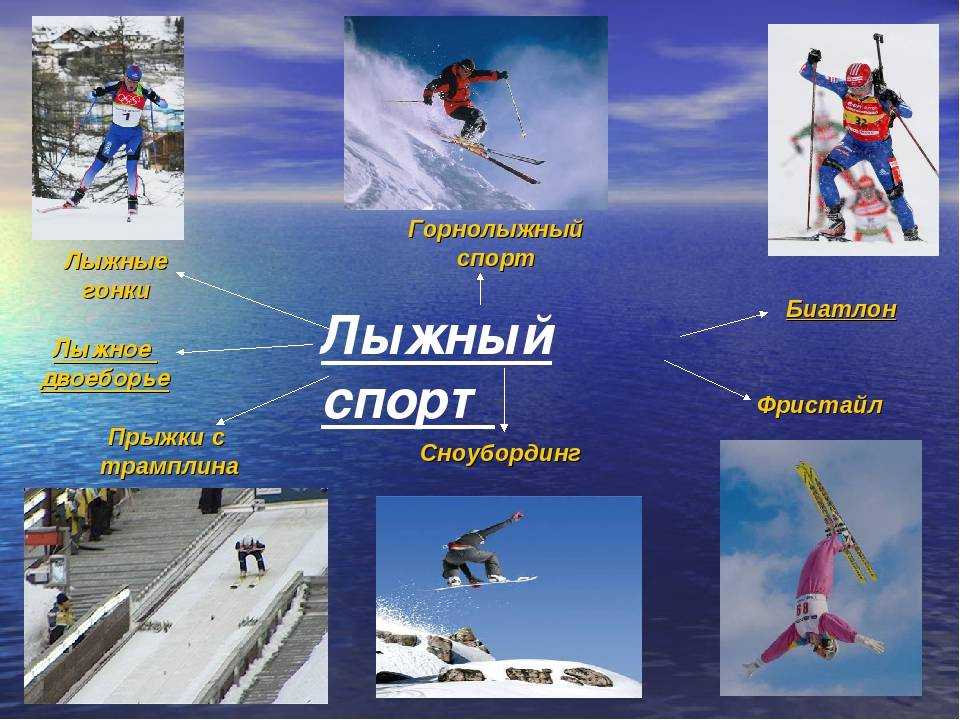 Лыжные гонки: описание, правила, виды, экипировка, трасса﻿