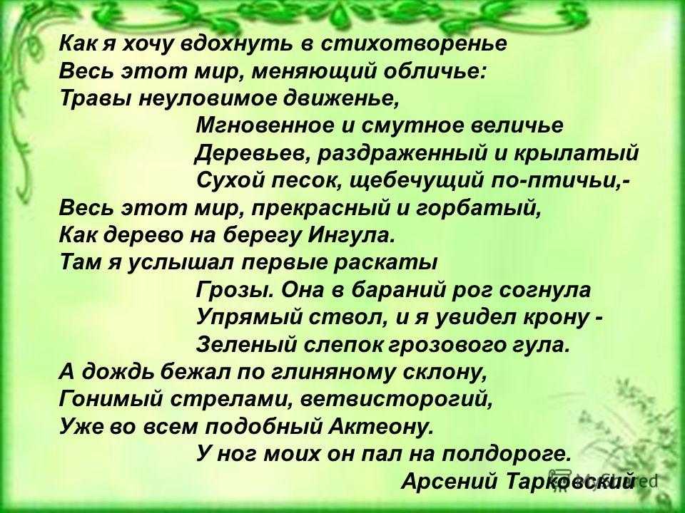 Мир это красивое место сочинение