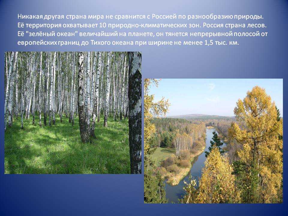 Природные зоны россии (4 класс, окружающий мир) | докладики