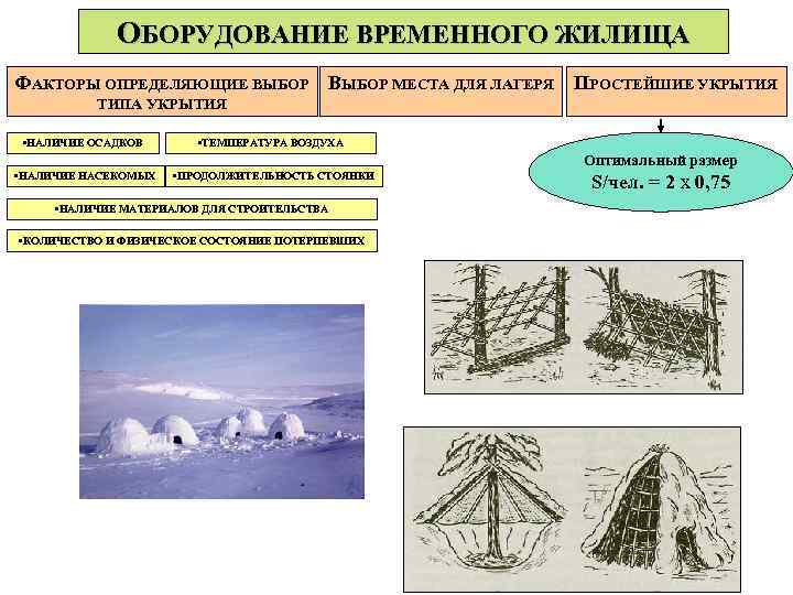 Контрольная работа - обж - 10 классе - i полугодие - 2022-2023 учебный год