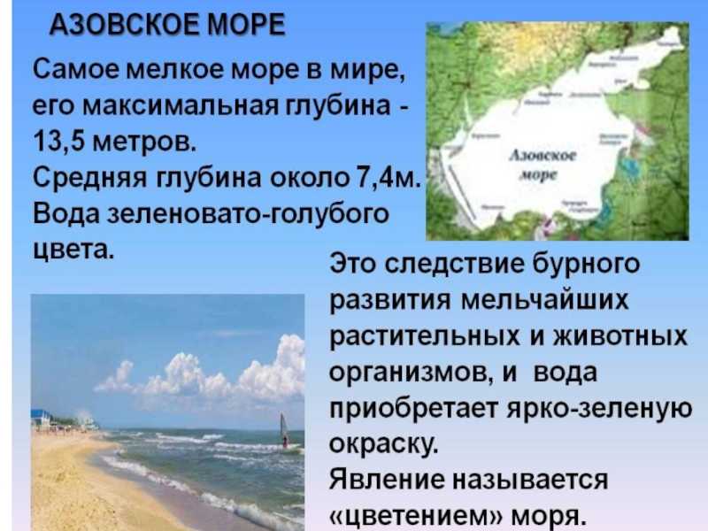 Каспийское море - доклад сообщение (4, 8 класс. география. окружающий мир)