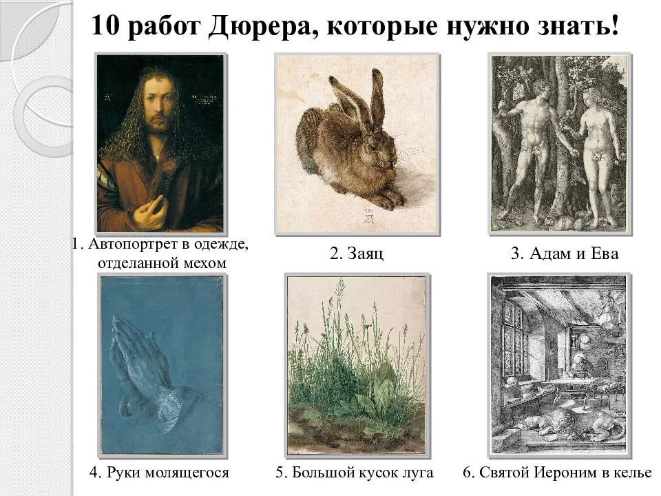 Биография альбрехта дюрера