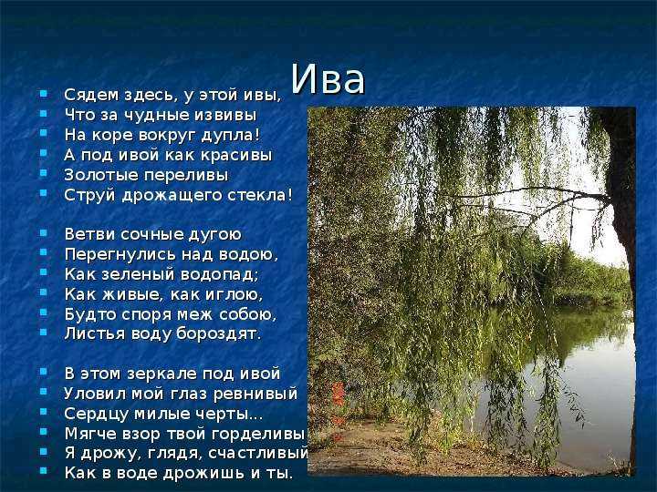 Анализ стихотворений фета