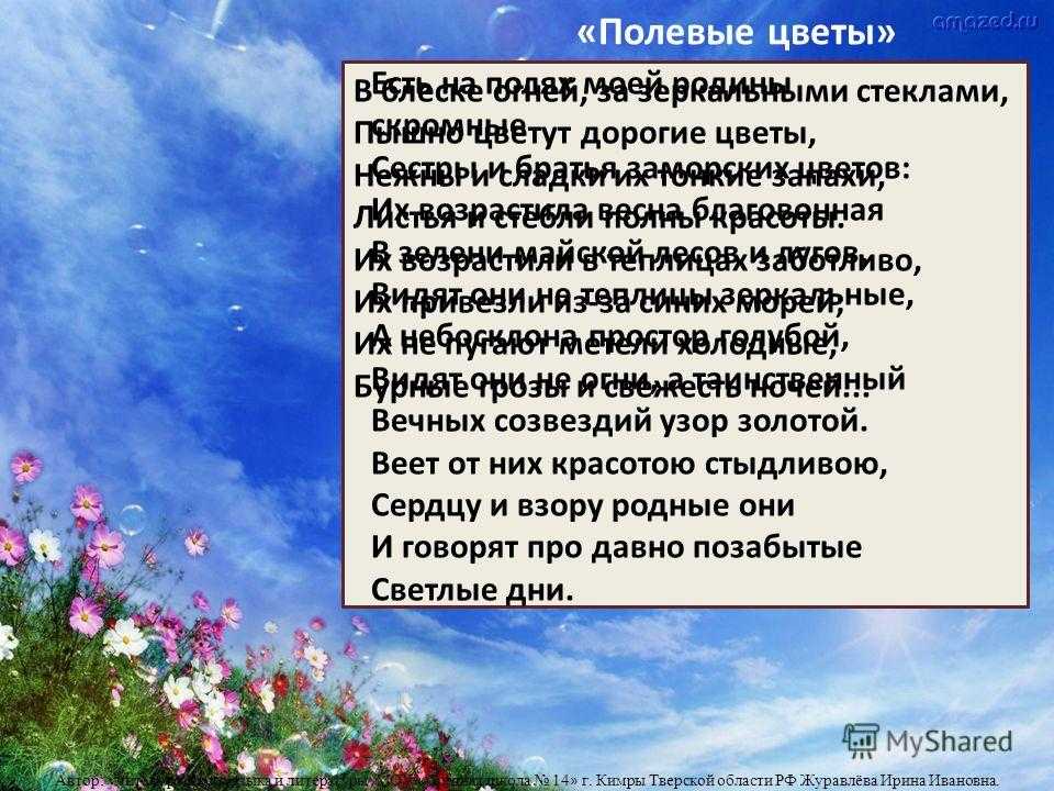 Анализ стихотворений фета