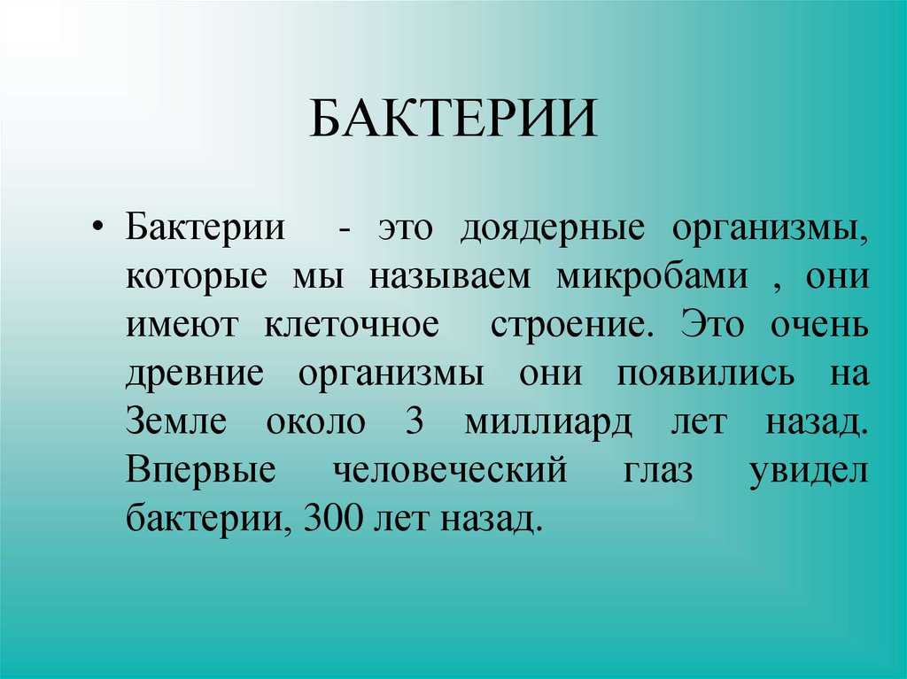 Сообщение про 3. Рассказ о бактериях. Сообщение о бактериях. Маленький рассказ о бактериях. Информация о бактериях 3 класс.