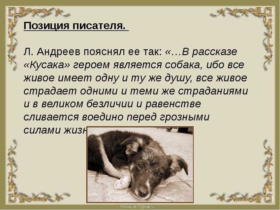 Кусака леонид андреев книга отзывы фото - GPTpedia.ru