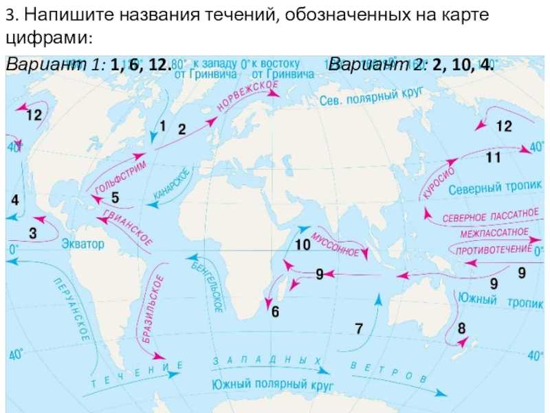 Тест по географии "мировой океан" | doc4web.ru