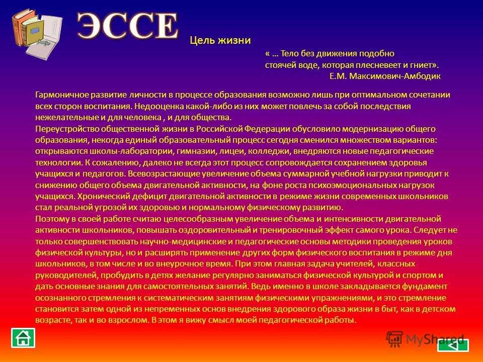Сочинение: в чем заключается смысл жизни?