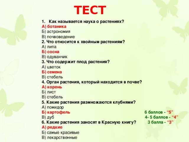 Стилем Руководства Называют Тест С Ответами