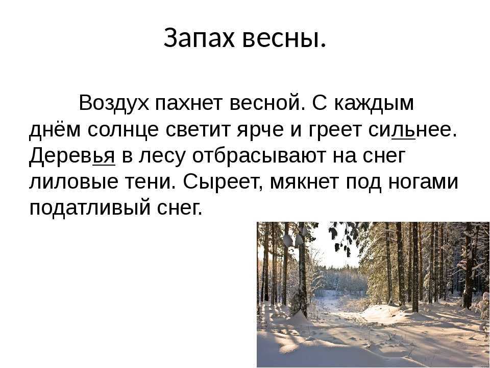 Сочинение на тему лес весной, весенний лес