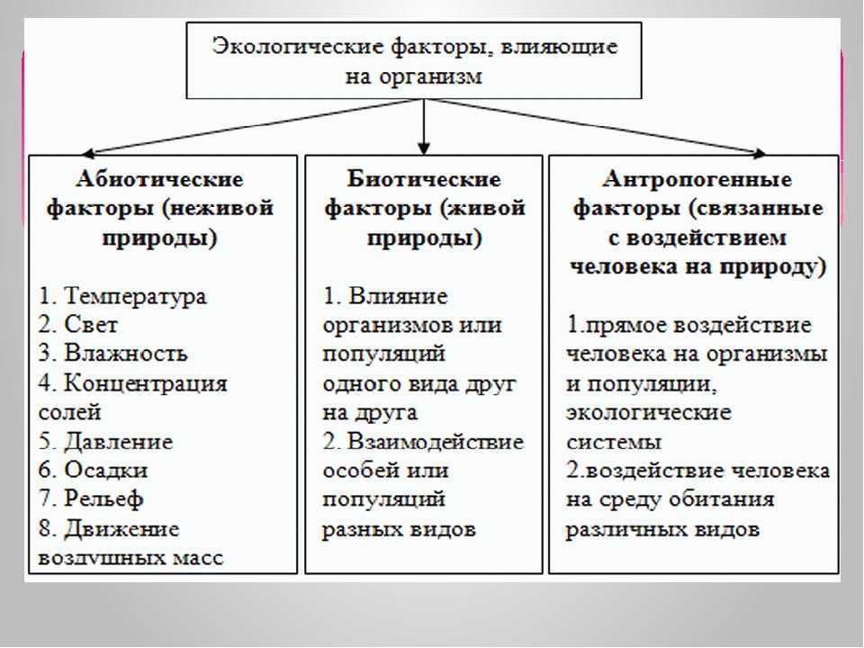 Тест по биологии экология. среды жизни и экологические факторы: абиотические, биотические и антропогенные 11 класс