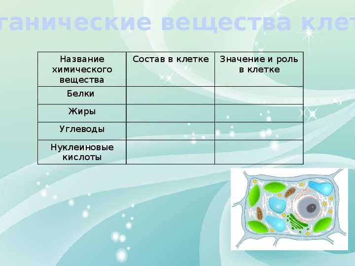 Тест химический состав клетки 9 класс ( живая клетка отличается повышенным …) | ответы к тестам