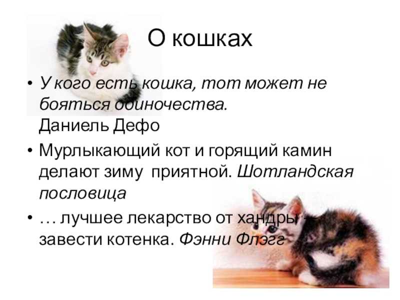 Сочинение про рыбку в аквариуме