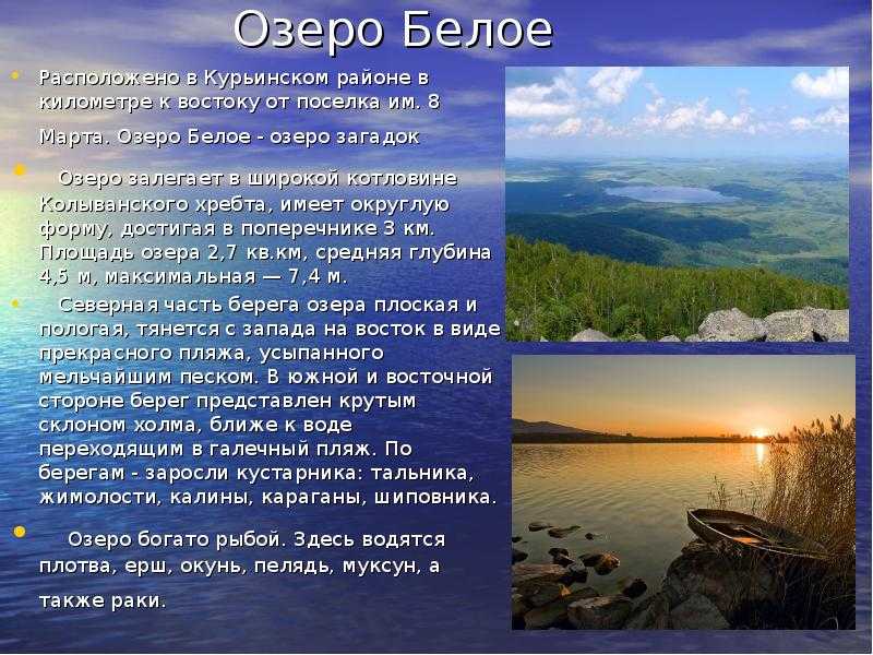 Алтайский край: география, климат, природные особенности