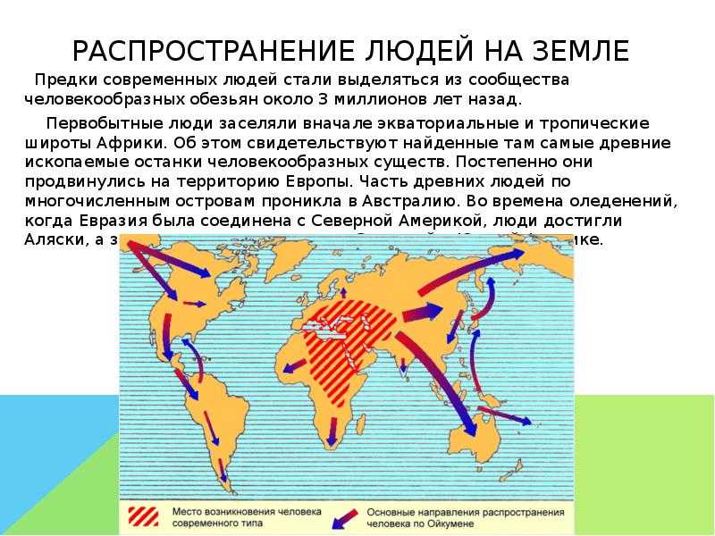 Тесты по географии 5 класс с ответами онлайн, итоговый за полугодие и за четверть