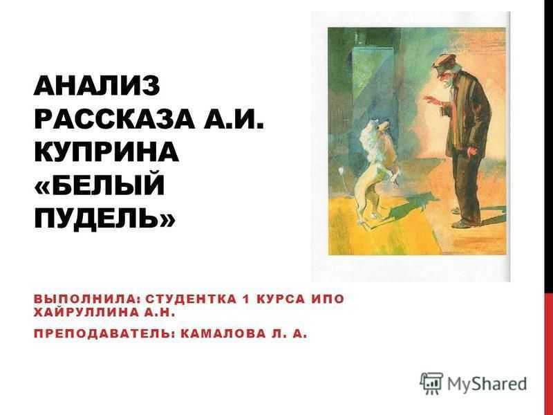 Рассказ белый. Написать рассуждение по рассказу Куприна белый принц. Анализ по произведению Куприна объявления на Столбах. Все незнакомые слова слова пожалуйста в рассказе белый пудель.