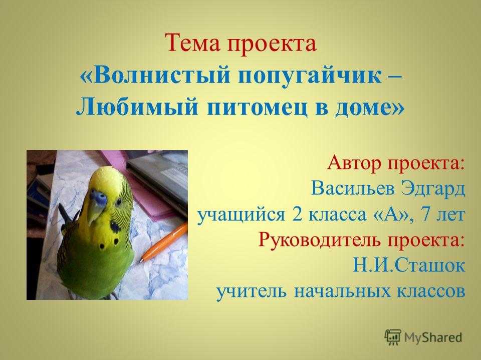 Сочинение мой идеальный день