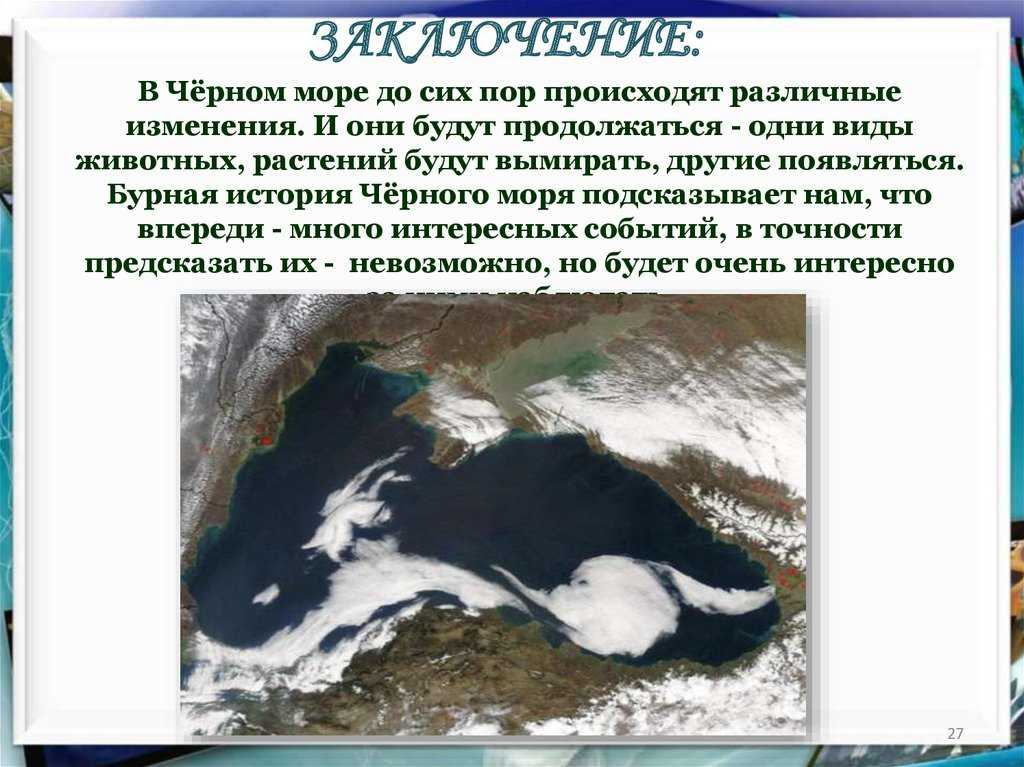 Интересные факты о море доклад сообщение (описание для детей)
