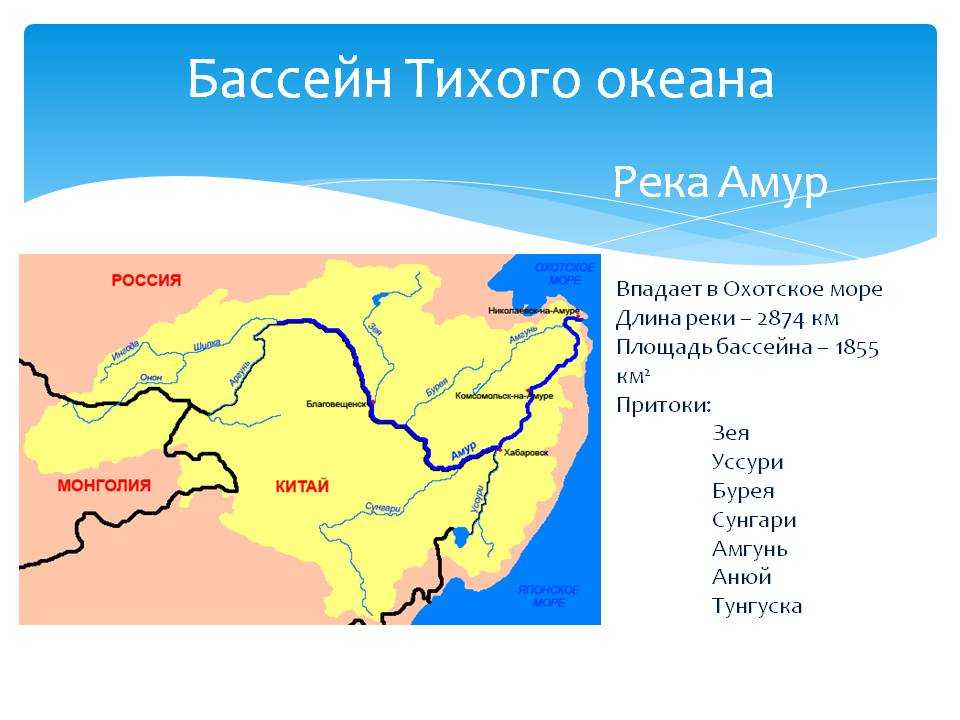 Самые интересные факты о реке амур | vivareit