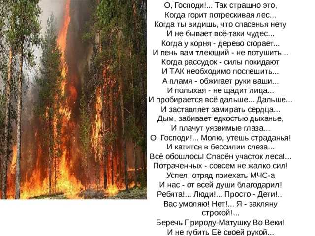 Замечательное евгений онегин - лишний человек сочинение 9 класс