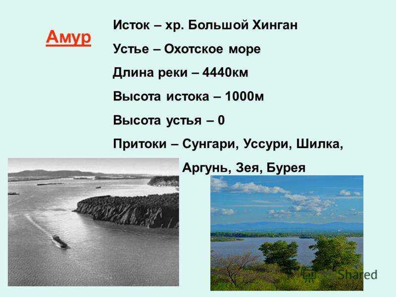 Доклад-сообщени река амур для 4 класса окружающий мир
