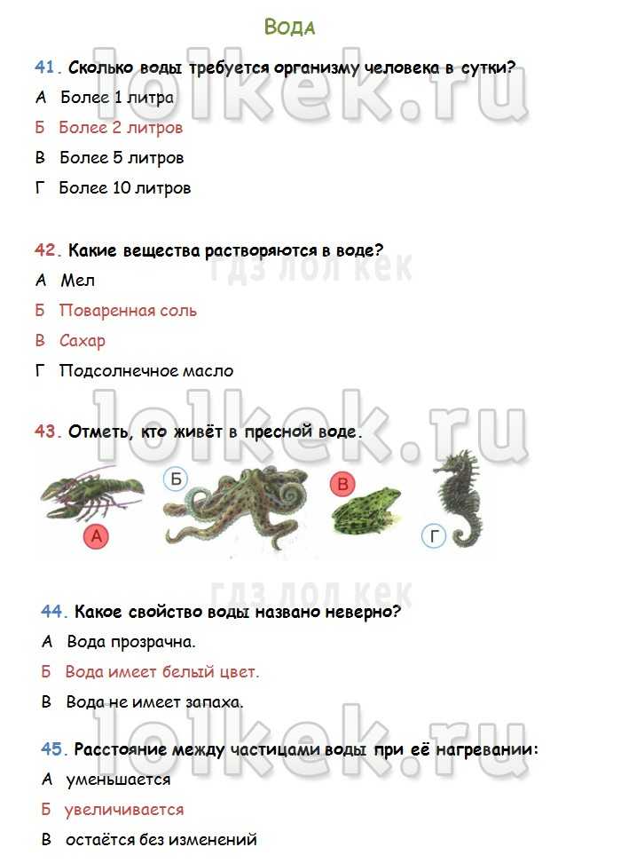 Итоговый тест по окружающему миру за 3 класс