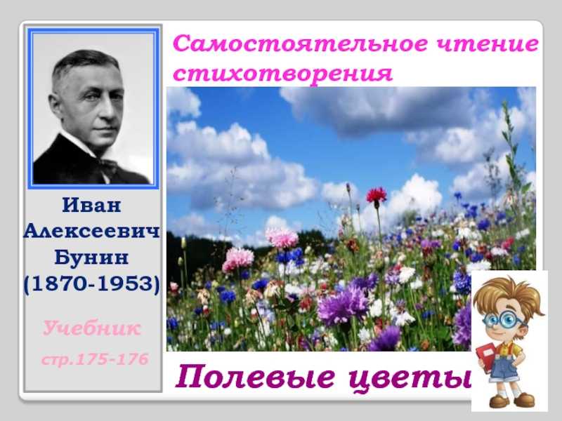 «ночь крещенская морозна…» афанасий фет: читать текст, анализ стихотворения