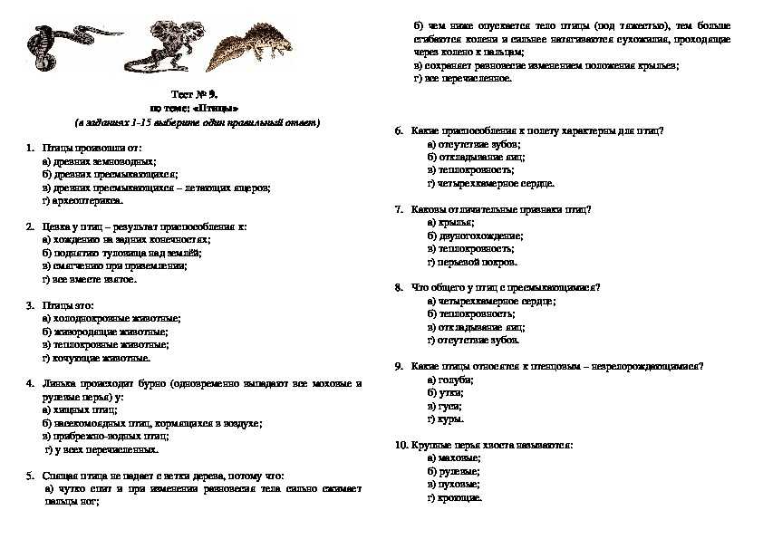 Разновидности заданий в тестовой форме