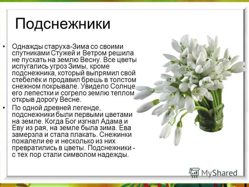 Сочинение по тексту будылина жители села пушкинские горы