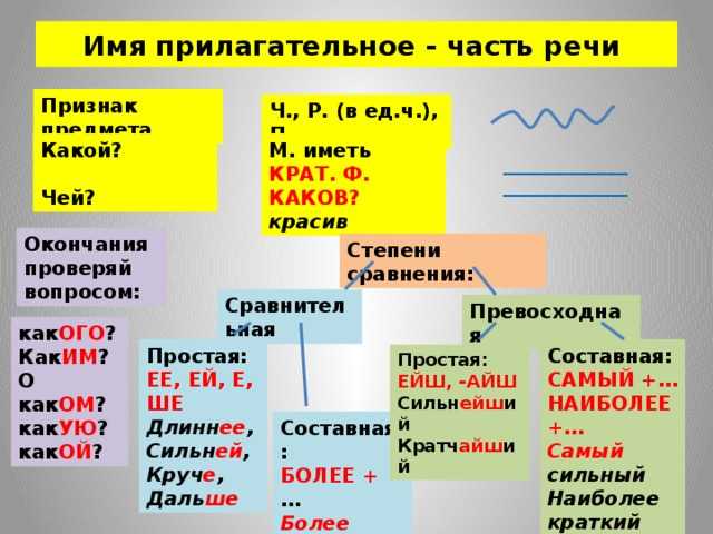 Тест по русскому языку имя прилагательное 5 класс