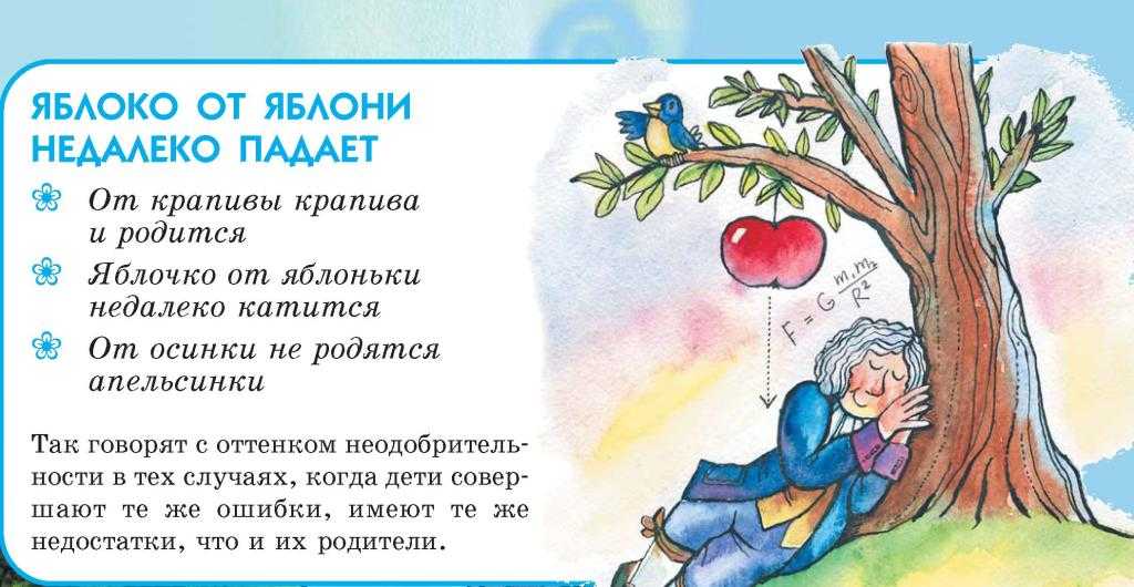Что означает пословица «яблоко от яблони недалеко падает»?