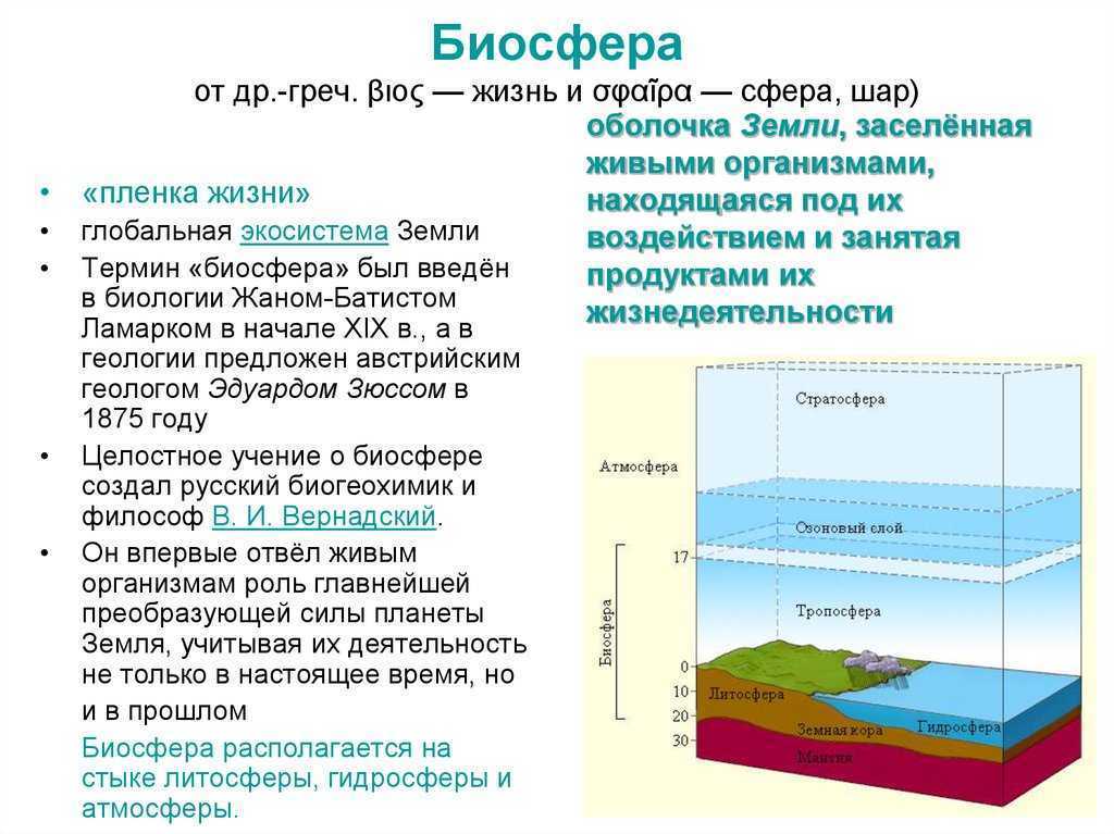 Влияние биосферы на гидросферу примеры. Оболочки земли литосфера гидросфера атмосфера Биосфера. Строение земли атмосфера гидросфера литосфера. Биосфера, по Вернадскому, – земная оболочка,. Слои биосферы.