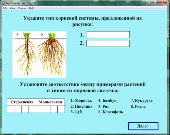 Виды корней и типы корневых систем, 6 класс