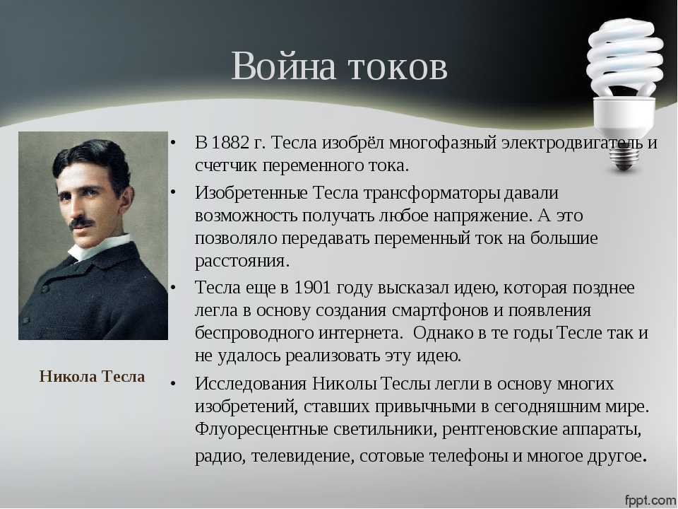 Сообщение о лемминге — описание, питание и среда обитания животного