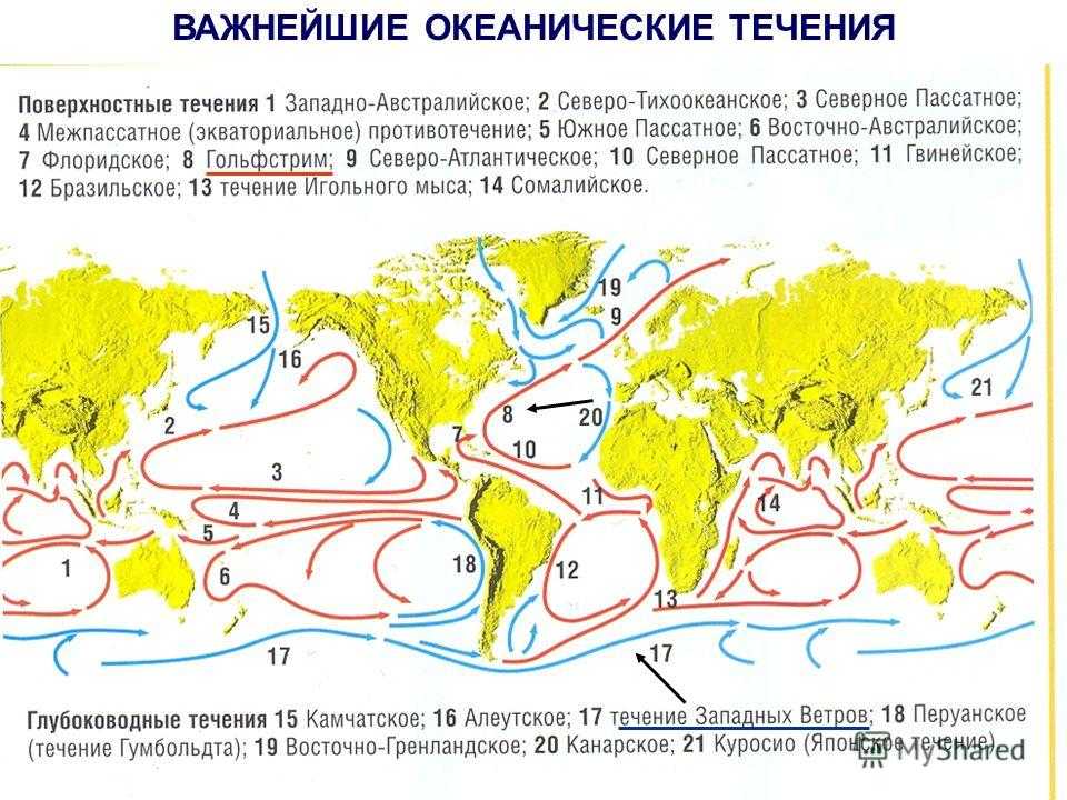 Поверхность течения в океане. Основные поверхностные течения в мировом океане. Гольфстрим ветров течение. Схема теплых течений в мировом океане. Карта течений мирового океана.