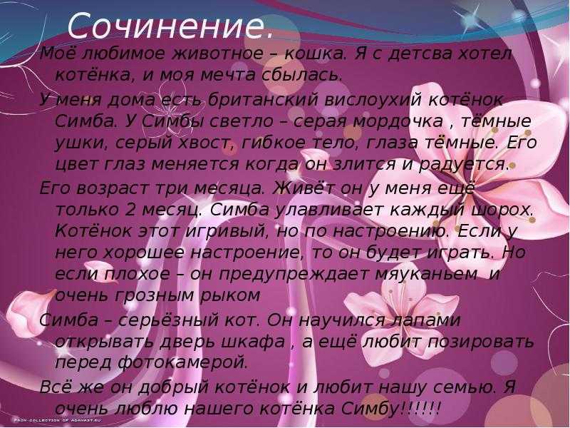Сочинение-описание кошки (2, 3, 5, 6, 7, 8 класс)