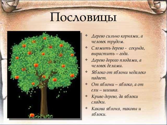 Творческое задание по литературе 7 класс стр 67 напишите сочинение по одной из пословиц