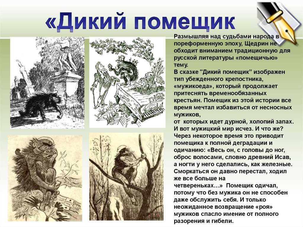 Анализ сказки дикий помещик салтыкова-жедрина, главные герои, краткое содержание, мораль сказки, история создания, смысл названия, особенности сюжета, проблематика | tvercult.ru
