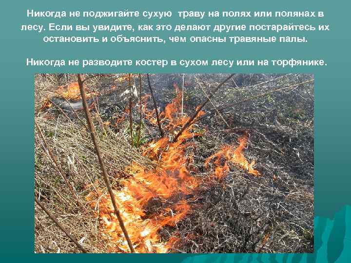 Сочинение на тему евгений онегин - лишний человек 9 класс