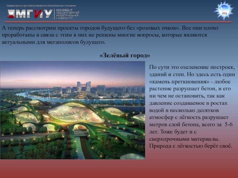 Сочинение описание мое домашнее животное собака 5 класс описание