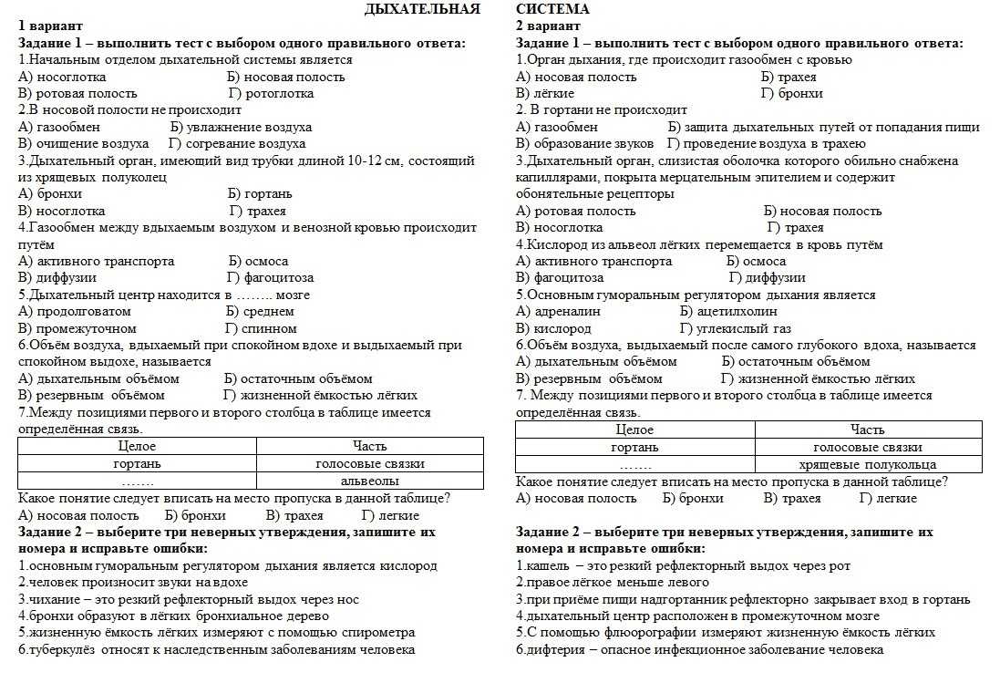 Тест по биологии органы дыхательной системы и их функции 8 класс