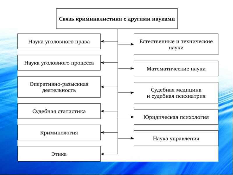 Криминалистика - декан тест