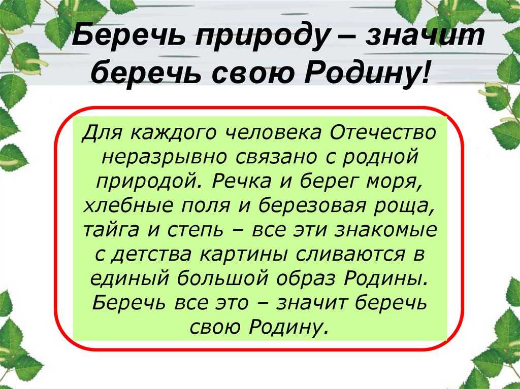 Сочинение берегите природу план